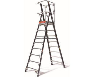 Safety Cage Ladder