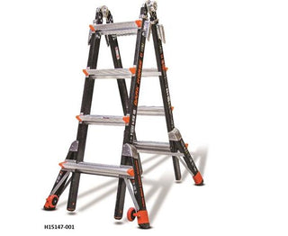 Dark Horse Ladder